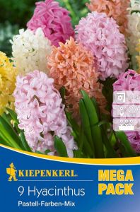 Kiepenkerl Mega-Pack Hyacinthus Pastell-Mix / hyacint - 9ks/bal