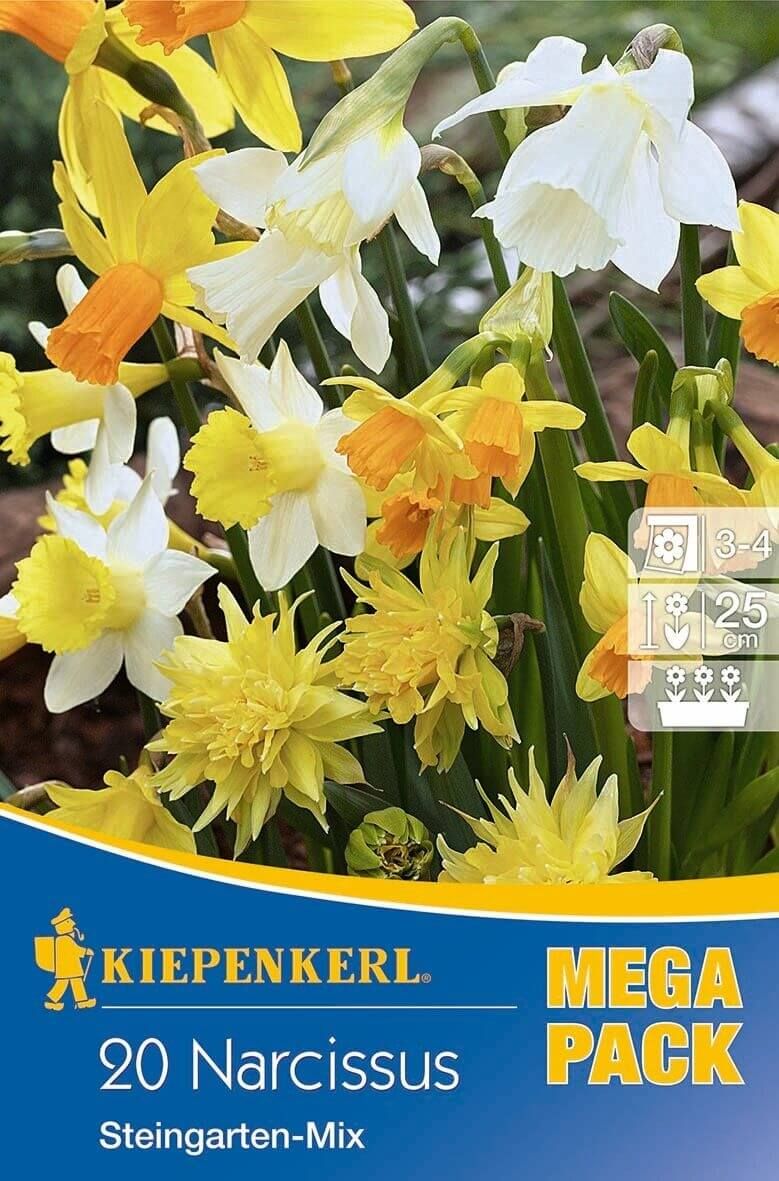 Kiepenkerl Mega-Pack Narcissus MIX / narcis - 20ks/bal 1,3