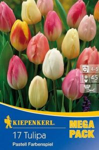 Kiepenkerl Mega-Pack Tulipa ´Pastell Farbenspiel´ / tulipán - 17ks/bal