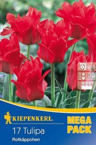 Kiepenkerl Tulipa ´Rotkappchen´ / tulipán - 17ks/bal      